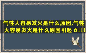 气性大容易发火是什么原因,气性大容易发火是什么原因引起 🍀 的